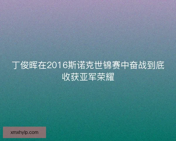 丁俊晖在2016斯诺克世锦赛中奋战到底收获亚军荣耀