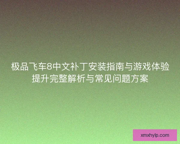 极品飞车8中文补丁安装指南与游戏体验提升完整解析与常见问题方案